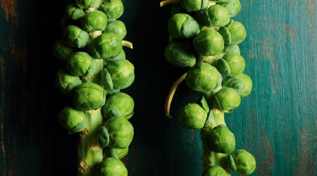 Brussels sprout