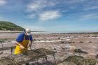 Porlock Weir Porlock Bay Oysters Ian Kershaw Owner 9801